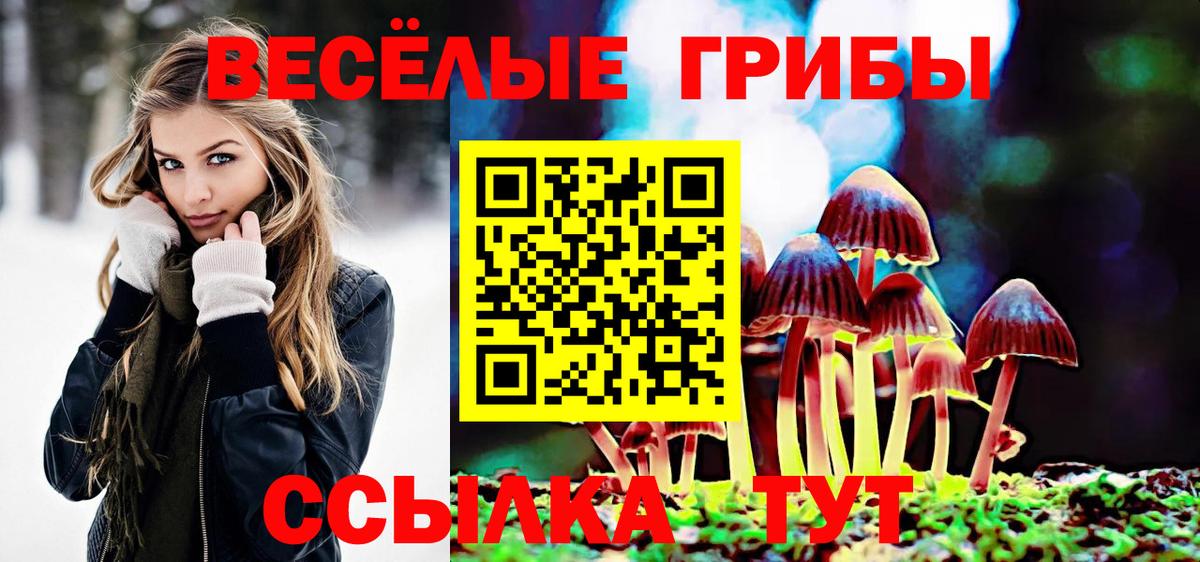 Псилоцибиновые грибы MAGIC MUSHROOMS Пенза