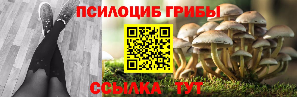 Псилоцибиновые грибы Magic Shrooms  Вход с VPN  Галлюциногенные грибы Psilocybe  Пенза 